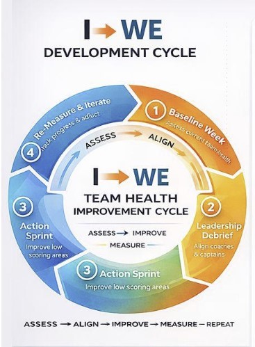 Five Stages Synergy Model